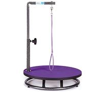 Master équipement Table de toilettage pour Animaux domestiques