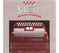 Master of The Celtic Accordion - Big Squeeze-Master of The Celtic Accordion GLCD 1093