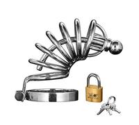 Master Series 6 Ring Stainless Steel Locking Male Chastity Cage