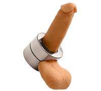 Master Series Silver Stainless Steel Penis Trap