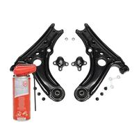 MASTER-SPORT 36890-KIT-MSP Jeu Kit bras de suspension avec accessoires avec rotule de suspension avec kit de vis de fixation Avant 200ml