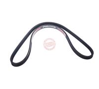 MASTER-SPORT 3PK850-PCS-MS Courroie Poly-V