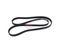 MASTER-SPORT 4PK1237-PCS-MS, MASTER-SPORT Courroie trapezoidale à nervures 4PK1237-PCS-MS