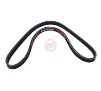 MASTER-SPORT 4PK815-PCS-MS Courroie Poly-V