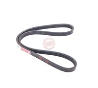 MASTER-SPORT 4PK826-PCS-MS Courroie Poly-V