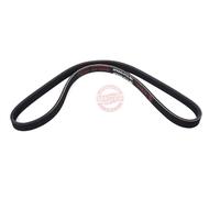 MASTER-SPORT 4PK845-PCS-MS Courroie Poly-V