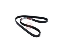 MASTER-SPORT 4PK875-PCS-MS Courroie Poly-V