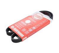 MASTER-SPORT 4PK890-PCS-MS Courroie Poly-V