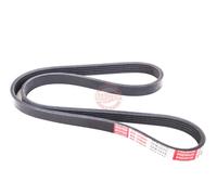 MASTER-SPORT 5PK1015-PCS-MS Courroie Poly-V