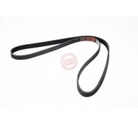 MASTER-SPORT 5PK1290-PCS-MS Courroie Poly-V