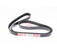 MASTER-SPORT Courroie Poly-V 5PK1330-PCS-MS 1330 mm