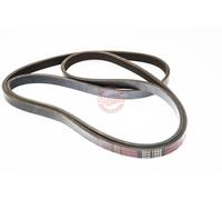 MASTER-SPORT 5PK1888-PCS-MS Courroie Poly-V