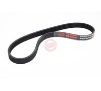 MASTER-SPORT 5PK675-PCS-MS Courroie Poly-V
