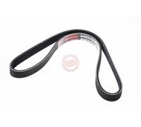 MASTER-SPORT 5PK870-PCS-MS Courroie Poly-V