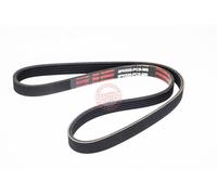 MASTER-SPORT 5PK925-PCS-MS Courroie Poly-V