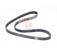 MASTER-SPORT 5PK975-PCS-MS Courroie Poly-V