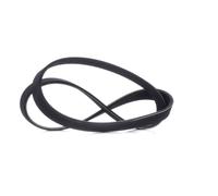 MASTER-SPORT 6PK1050-PCS-MS Courroie Poly-V