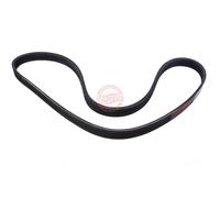 MASTER-SPORT 6PK1195-PCS-MS Courroie Poly-V