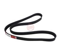 MASTER-SPORT 6PK1293-PCS-MS Courroie Poly-V