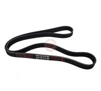 MASTER-SPORT 6PK1325-PCS-MS Courroie Poly-V