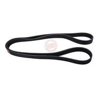 MASTER-SPORT 6PK1685-PCS-MS Courroie Poly-V
