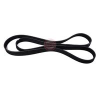 MASTER-SPORT 6PK1705-PCS-MS Courroie Poly-V