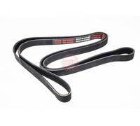 MASTER-SPORT 6PK2145-PCS-MS Courroie Poly-V