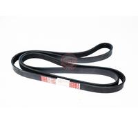 MASTER-SPORT 6PK2150-PCS-MS Courroie Poly-V