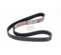 MASTER-SPORT 6PK869-PCS-MS Courroie Poly-V