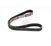 MASTER-SPORT 6PK875-PCS-MS Courroie Poly-V