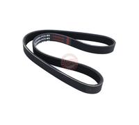 MASTER-SPORT 6PK884-PCS-MS Courroie Poly-V