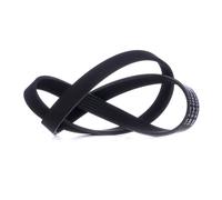 MASTER-SPORT 6PK923-PCS-MS Courroie Poly-V