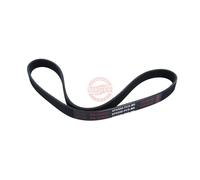 MASTER-SPORT 6PK950-PCS-MS Courroie Poly-V