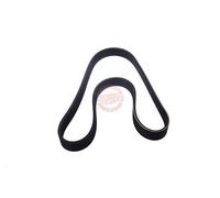 MASTER-SPORT 6PK955-PCS-MS Courroie Poly-V