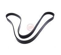 MASTER-SPORT 7PK1629-PCS-MS Courroie Poly-V