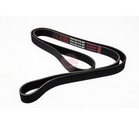 MASTER-SPORT 7PK1785-PCS-MS Courroie Poly-V
