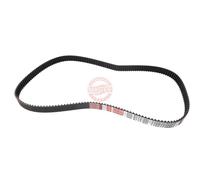 MASTER-SPORT 871-SD-PCS-MS Courroie de distribution