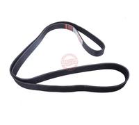 MASTER-SPORT 8PK2189-PCS-MS Courroie Poly-V