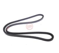 MASTER-SPORT AVX-10X1133-PCS-MS Courroie trapézoïdale