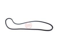 MASTER-SPORT AVX-10X1290-PCS-MS Courroie trapézoïdale