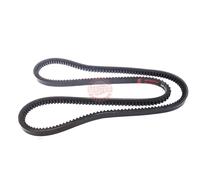 MASTER-SPORT AVX-13X1325-PCS-MS Courroie trapézoïdale