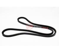 MASTER-SPORT AVX-13X1600-PCS-MS Courroie trapézoïdale