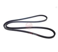 MASTER-SPORT AVX-13X1675-PCS-MS Courroie trapézoïdale