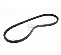 MASTER-SPORT AVX-13X915-PCS-MS Courroie trapézoïdale