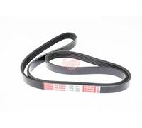MASTER-SPORT Courroie Poly-V 5PK1330-PCS-MS 1330 mm