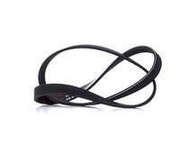 MASTER-SPORT Courroie Poly-V 6PK1125-PCS-MS 1125mm