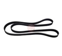 MASTER-SPORT Courroie Poly-V 6PK1760-PCS-MS pour PASSAT Variant (3B5) 1760mm