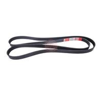 MASTER-SPORT 6PK2094-PCS-MS Courroie Poly-V