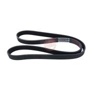 MASTER-SPORT Courroie trapézoïdale à nervures 6PK1215-PCS-MS