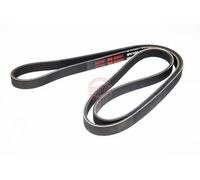 MASTER-SPORT Courroie trapézoïdale à nervures pour HYUNDAI TERRACAN HP